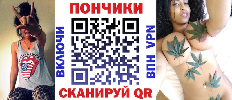 OMG вход  купить  цена  Инсар  Бошки марихуана семена 